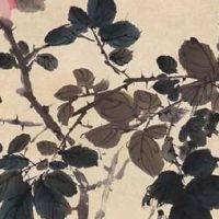 医疗器械商标名称大全 品牌取名个性有特点