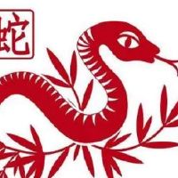 蛇人2022年的财富财富财富,蛇人2022,太老了,如何解决