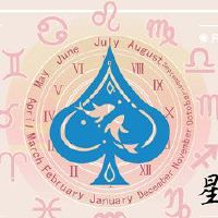 为什么软鼠标爱猫?