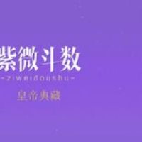 紫薇斗数当官八字命局分析