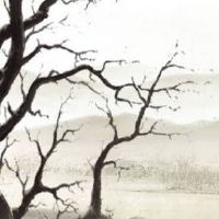 吸引人的童装店名好听新潮 新颖旺事业好店名称