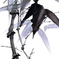 鞋店名字大全潮流时尚 大气高端旺铺取名