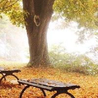 容易成功,可以出名