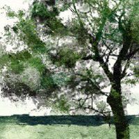 翡翠玉石的基本知识