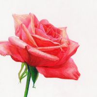 2019年8月7日他出生的男孩是如何出生的?