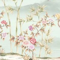 74年属虎运势最旺是哪一年 蛇年行大运