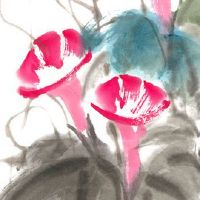 属虎本命年前一年倒霉 度过前一年本命年转运