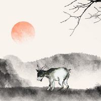 这是28岁生日生日的特征。