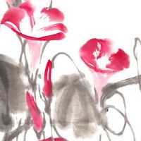 属虎人旺财摆件本命年大全 玄武十三塔让属虎人旺财