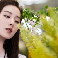 12月2022年4月的12个物品