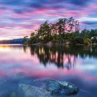 你想在人们里养鱼吗?