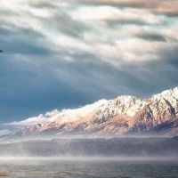 紫色的次数易于以成功的人而闻名