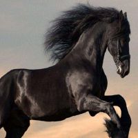 1978年,马人民2022财年44岁的小瘤男2022每月财富详细