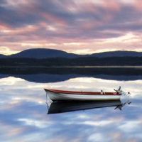 白色方金适合职业是什么