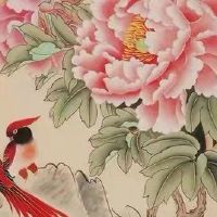 属虎的生肖今年运气好不好 运势坎坷多努力