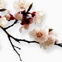 2022年7月6日五行看穿衣,今日穿衣幸运色盘点