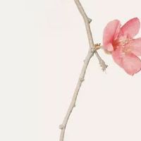 每日五行查询:2022年7月20日五行穿衣指南