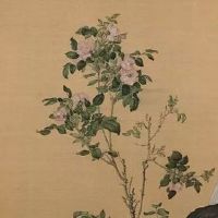 86年的虎今年的财运方位 正南方正西方财运佳