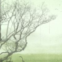 山谷雨对朋友的问候感到温暖