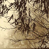 三个拾取红色封面