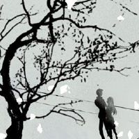 如何与花和群粉丝冲突结婚?