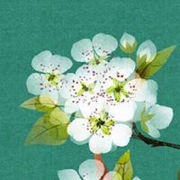 清明节生的孩子真的是鬼投胎? 今日生贵人运旺