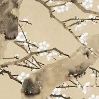 健康公司起名字大全免费 朗朗上口的个性企业好名