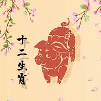 这是一个猪2023,它是鸡曲和凶猛的明星。