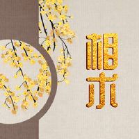 妇女的脸部图片下唇厚