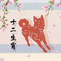 2023年7月,最好的黄道十二生肖萧杨小狗和小湿润