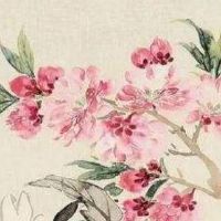 童装店名简单好记时尚 高端潮流新店取名