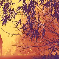 长老为期几代婚礼问候