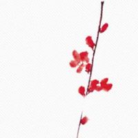 五行穿衣每日指南:2022年7月22日穿什么颜色旺运势