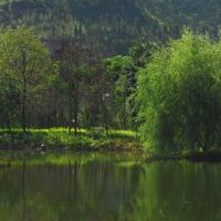 贾明的八个字符命运如何?