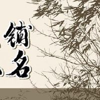 漂亮的羊绒商店简单的名字