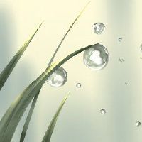 白卢思奇吃了白鸡的效果这一天可能这么好