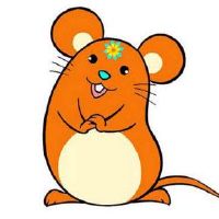 1996年,一只小鼠女2022财年是26岁的,Divoir女2022月每月财富。