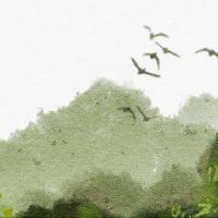 石榴木生命,新沂石榴,生活