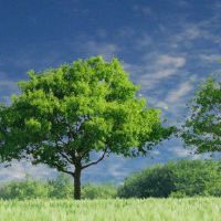 纳克顿五行剑枫晋的人买什么颜色的汽车是好的