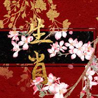 明年的2023年是什么?