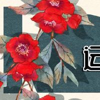 今天的财富之神正在询问2023年7月8日的最佳职位