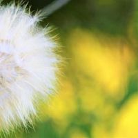 最值得信赖的星座Top5