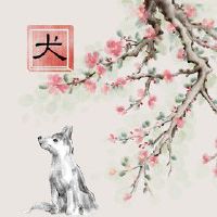 2022年五月生肖狗能发小财吗 吉星相助谨慎投资