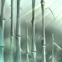 夏天吃什么传统食物“纸面,炸酱,牛肉面”