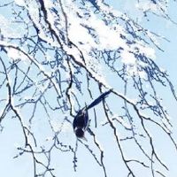 看手相三角纹 三角纹越大财富越多