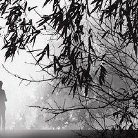 婚礼照片需要多长时间拍婚礼照片?