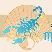 如何支付蝎子,如何让他注意到你