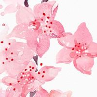 立夏勿下雨,犁耙倒挂起什么意思 今日生属虎运势盘点