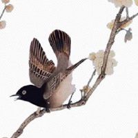 最新养殖场取名大全 企业取朗朗上口好名