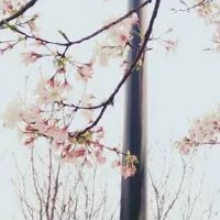 水产养殖场起名大全新开 精选高端水产起名